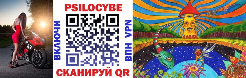 hydra ссылка  где купить наркотик  Бодайбо  Псилоцибиновые грибы Psilocybine cubensis 